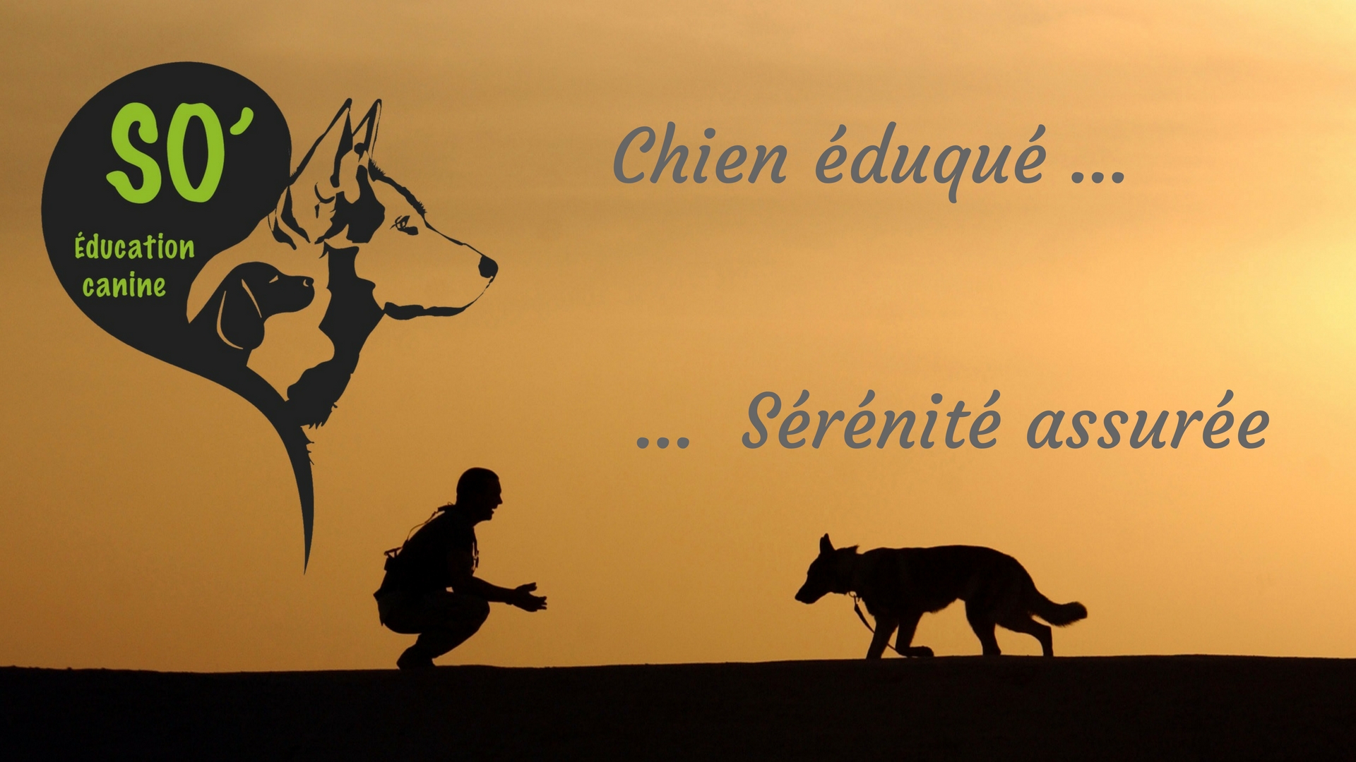 So'Education Canine