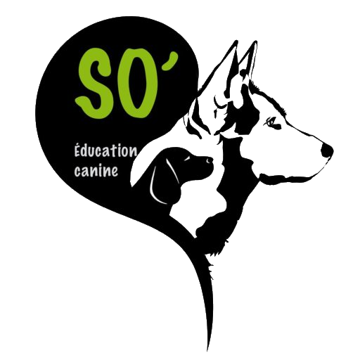 SO'Education Canine